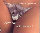 Intim gyanta Intim gyanta